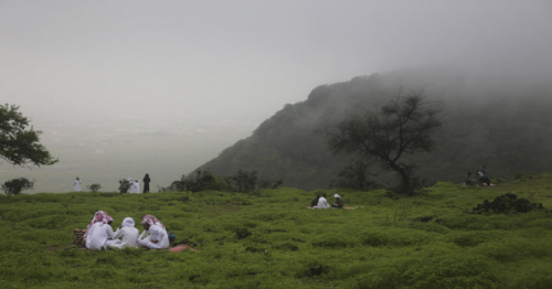 Enjoy greenery, waterfalls in Saudi, Oman from Dh1,099