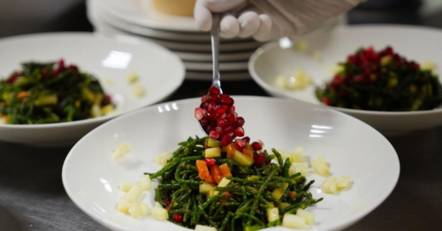 This local superfood can fight climate change, shake up