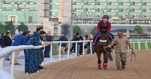 Why Dubai has become a favourite training ground for