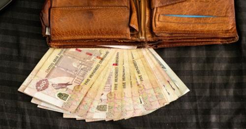 UAE: 20% salary hike announced for govt employees in