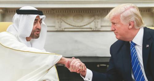 UAE President, Trump discuss Gaza ceasefire efforts in
