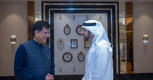 Sheikh Hamdan in India: We have been waiting for you, says