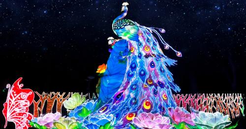 Dubai Garden Glow closes after 10 years; to reopen at new